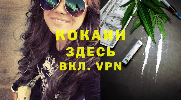 МДПВ Алексеевка