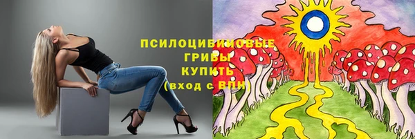 МДПВ Алексеевка