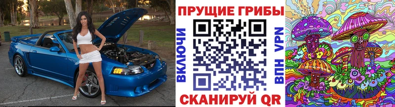 Галлюциногенные грибы GOLDEN TEACHER сайты даркнета наркотические препараты Ярцево